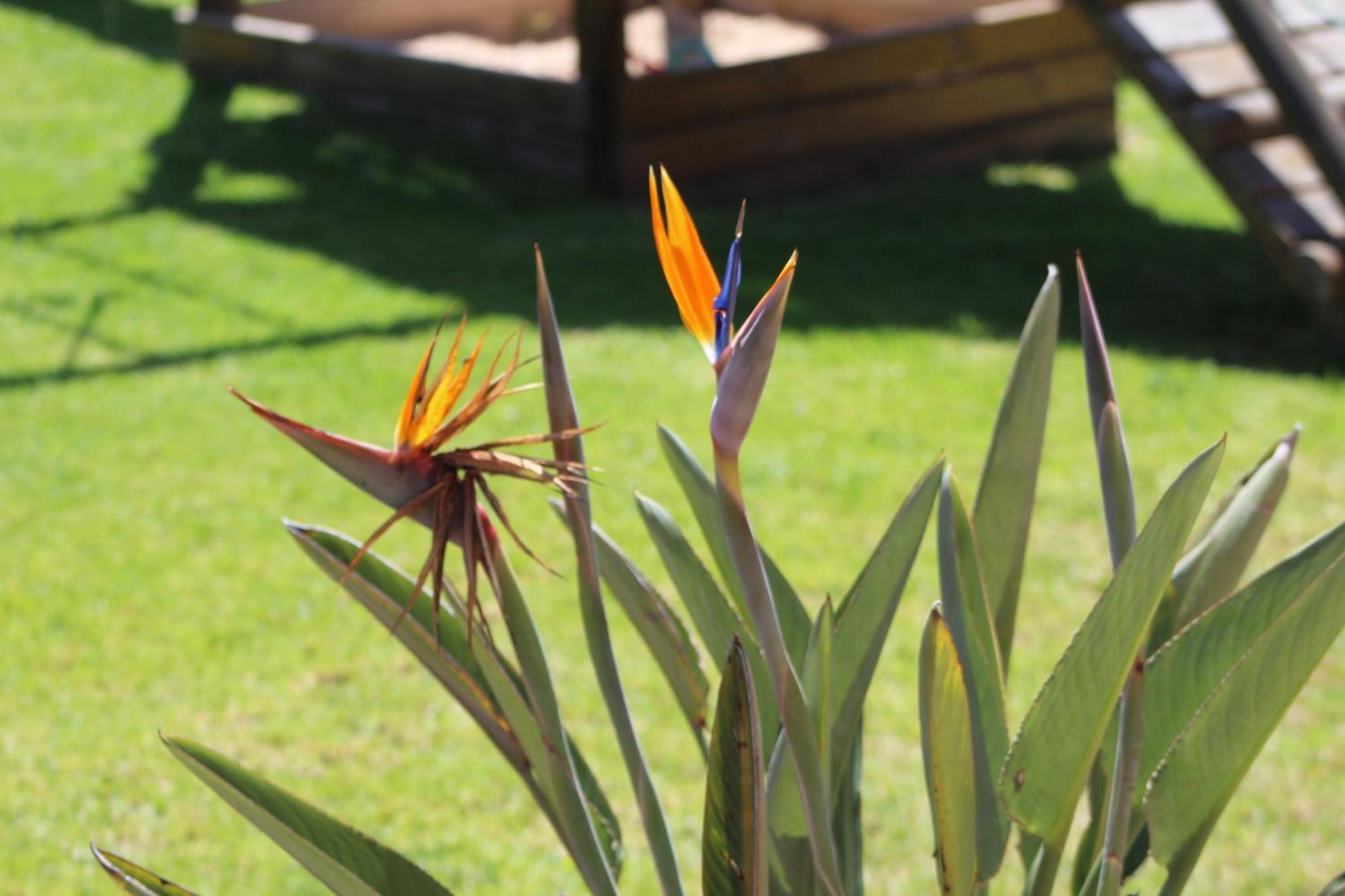 Hartenbos Private Game Lodge Ngoại thất bức ảnh