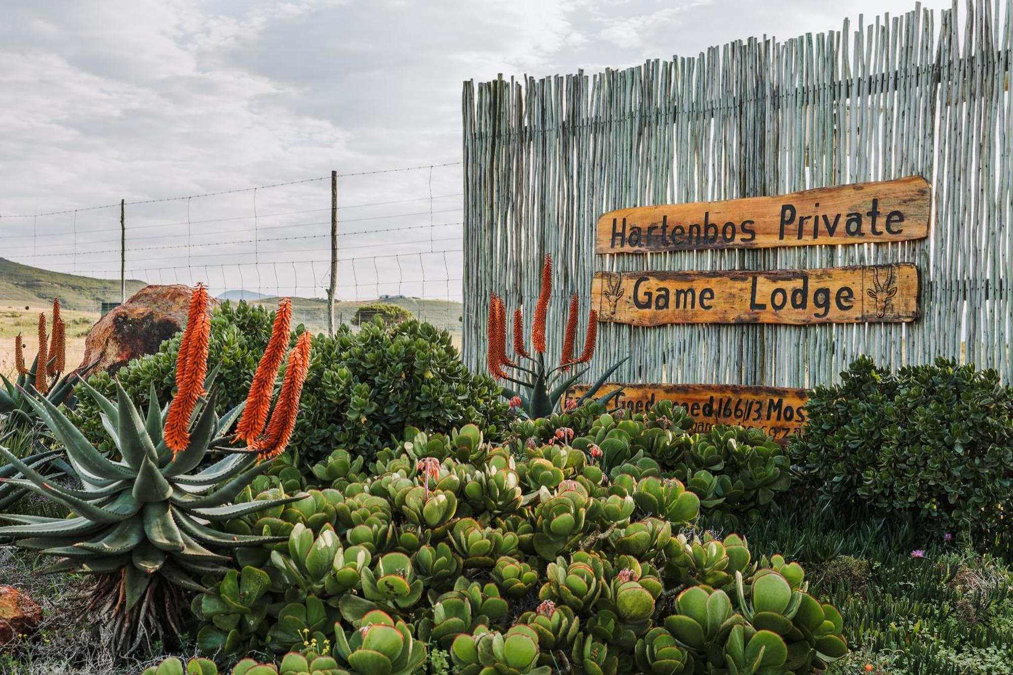 Hartenbos Private Game Lodge Ngoại thất bức ảnh