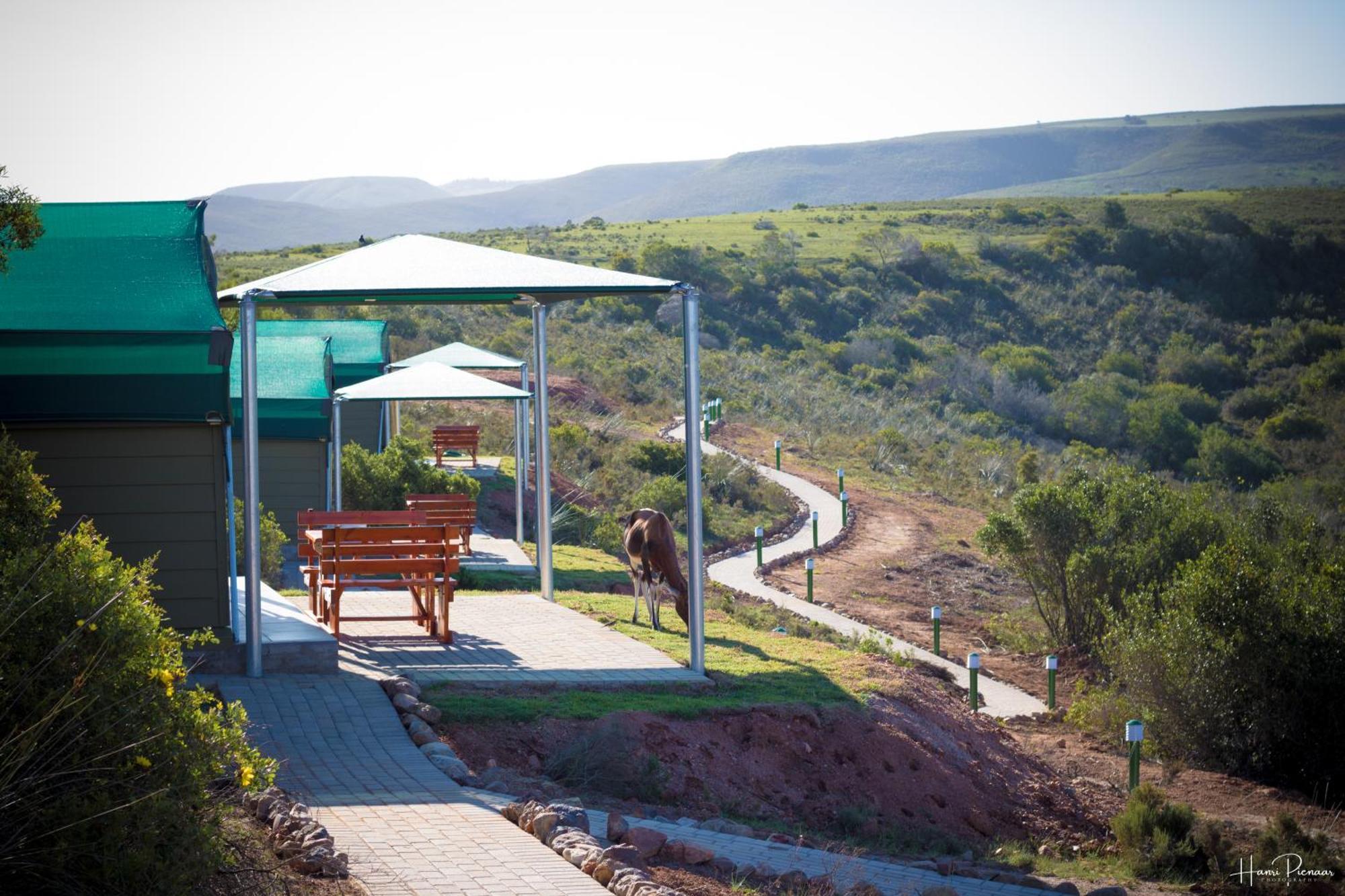 Hartenbos Private Game Lodge Ngoại thất bức ảnh